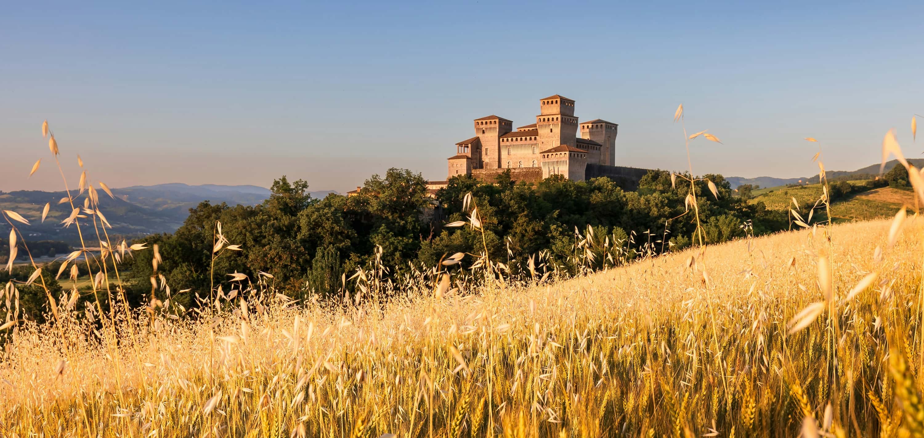 A medieval castle sits atop a hill, surrounded by lush greenery and a golden wheat field under a clear blue sky.