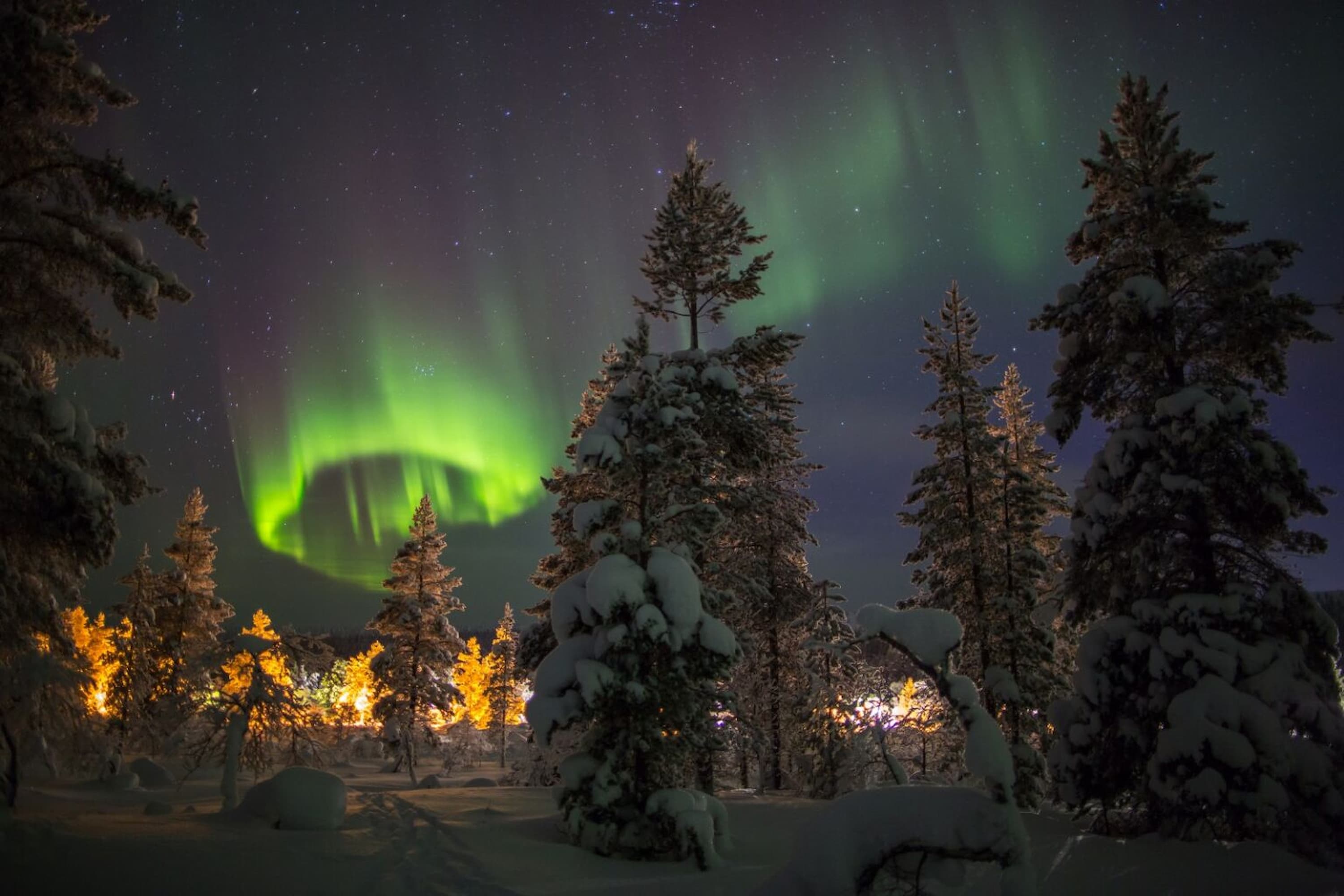 Snow-covered trees in a dark forest beneath a vibrant green aurora borealis, with a starry night sky and warm glow from distant lights.