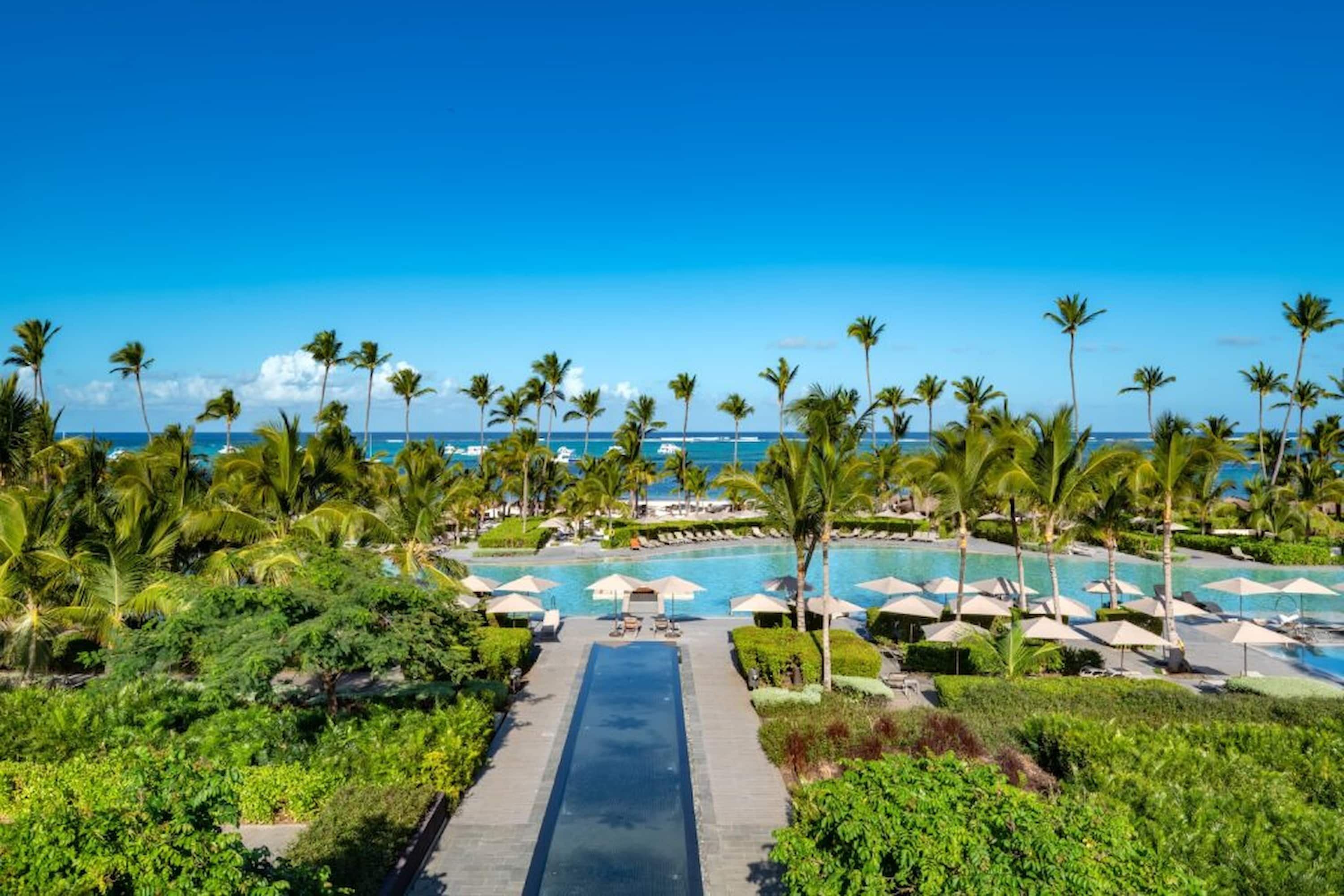 A tropical resort view with palm trees, a large pool, loungers, and the ocean in the background under a bright blue sky.