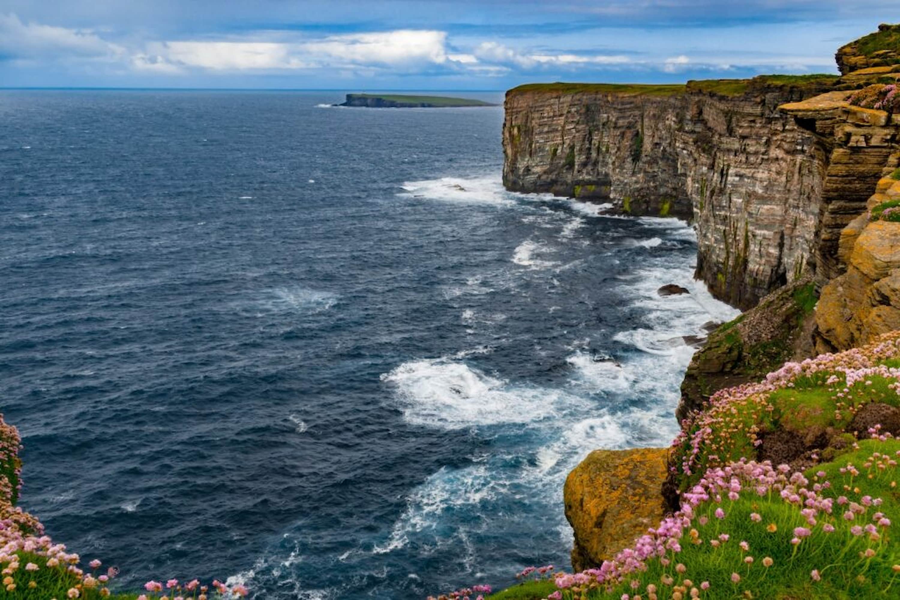 Coastal cliffs with rugged, layered rocks overlook a turbulent ocean, surrounded by blooming wildflowers under a partly cloudy sky.