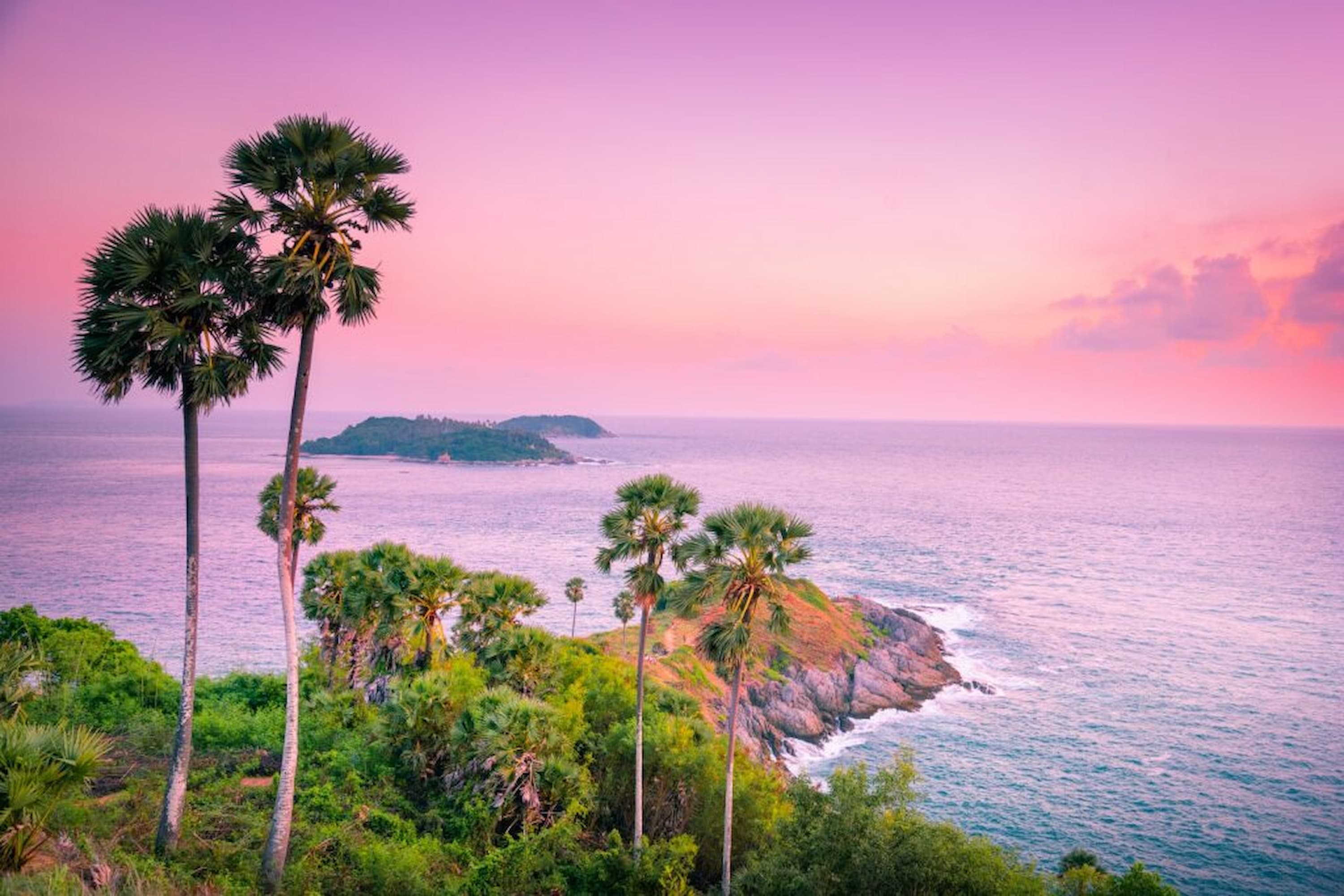 A vibrant sunset over a tropical coastline with tall palm trees, a rocky promontory, and a pink-purple sky reflecting on the ocean.