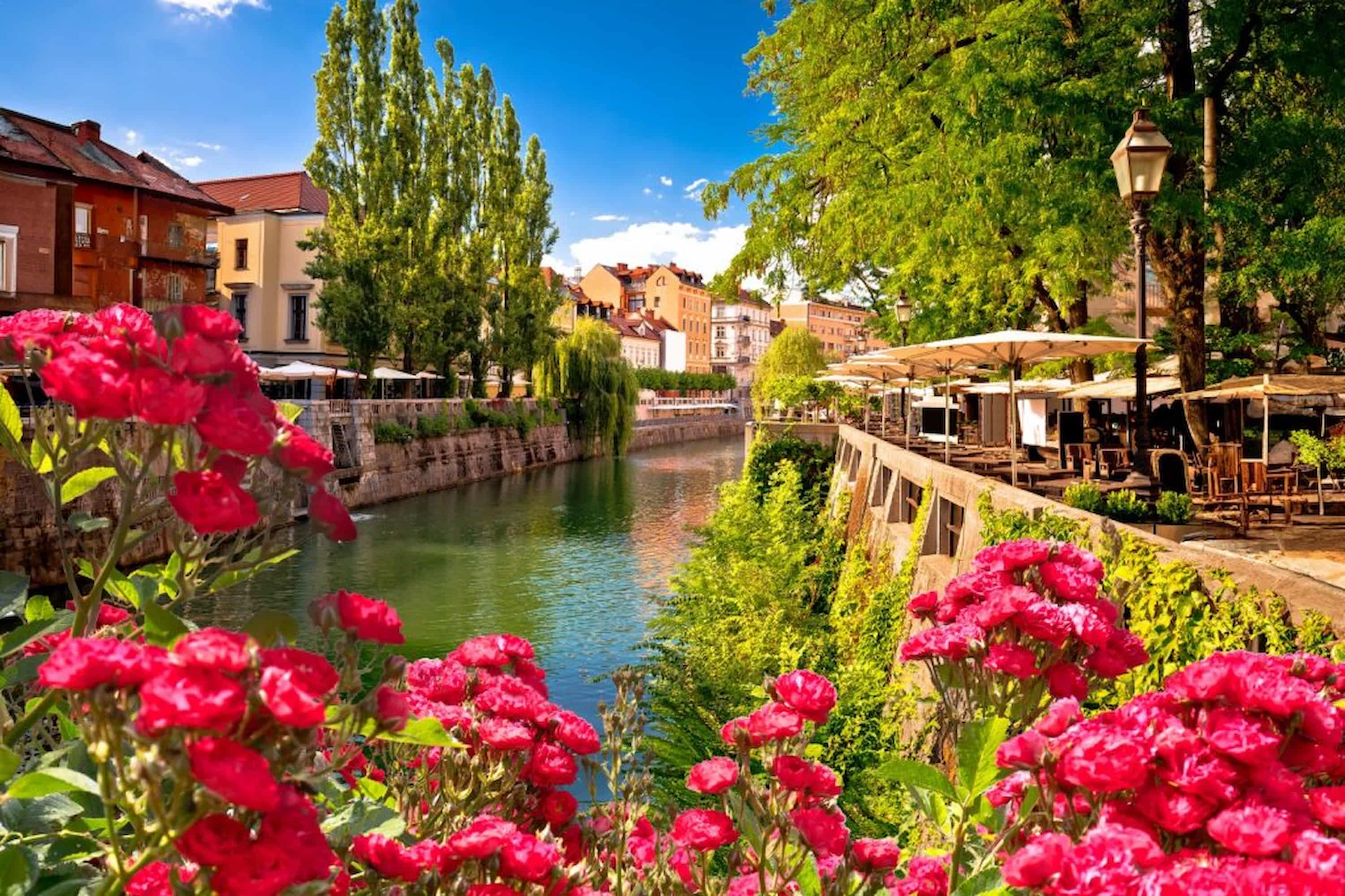 Scenic riverside view with vibrant red flowers in the foreground, trees, outdoor cafes, and historic buildings under a clear blue sky.